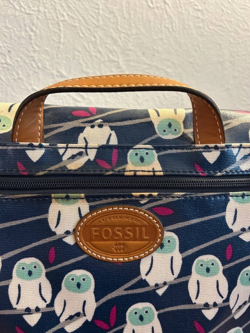 Fossil Crossbody Satchel